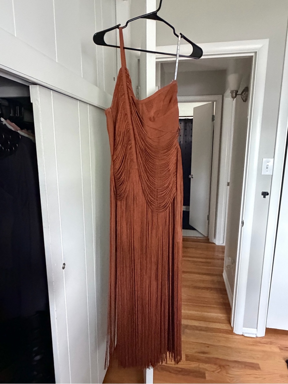 Herve Leger Rust One-Shoulder Fringe Gown